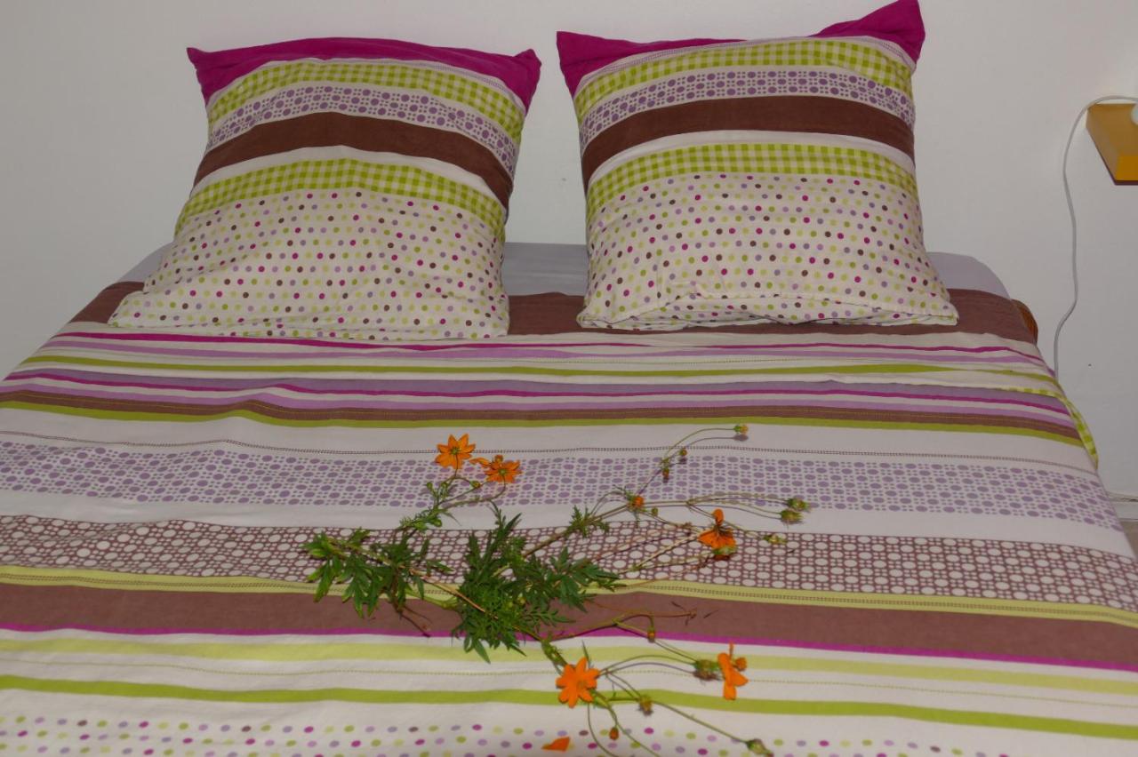 Apartamento - Planta baja