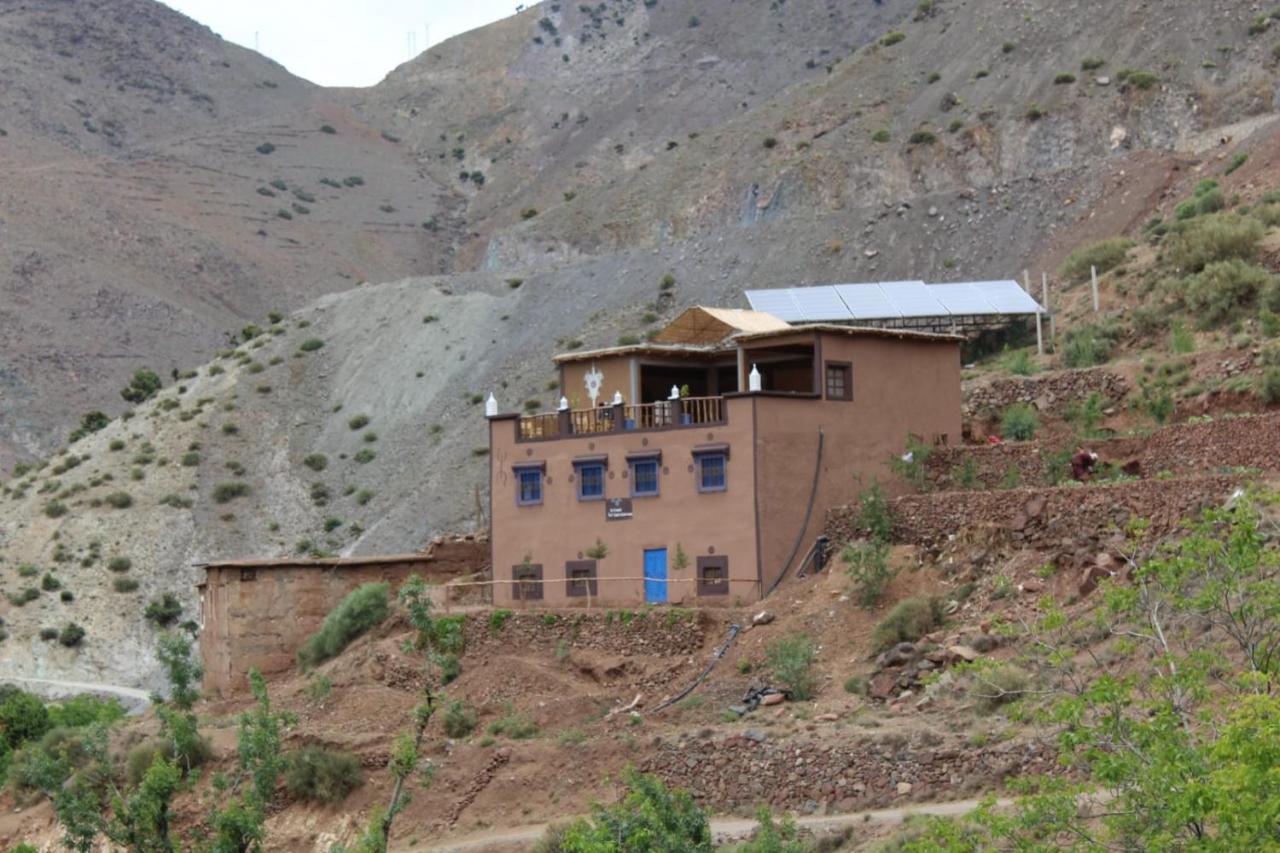 da housa hostel - B&B