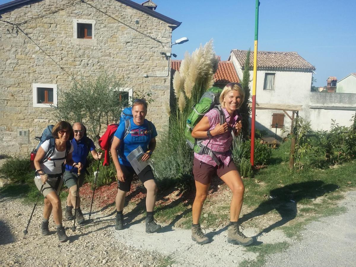 al Merlo Olivo, rural istrian house - B&B Buie