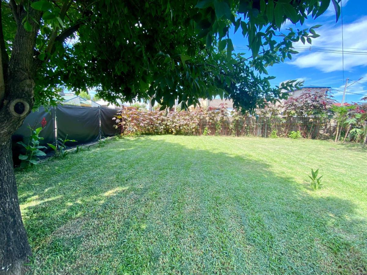 Los Cardenales - B&B San José