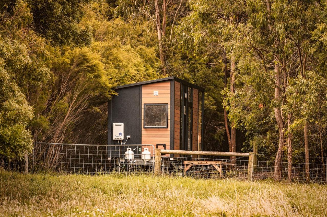 B&B Buffalo - Forest Nook Tiny House - Bed and Breakfast Buffalo