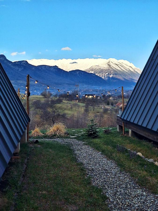 Zibran Cabane - B&B Bran