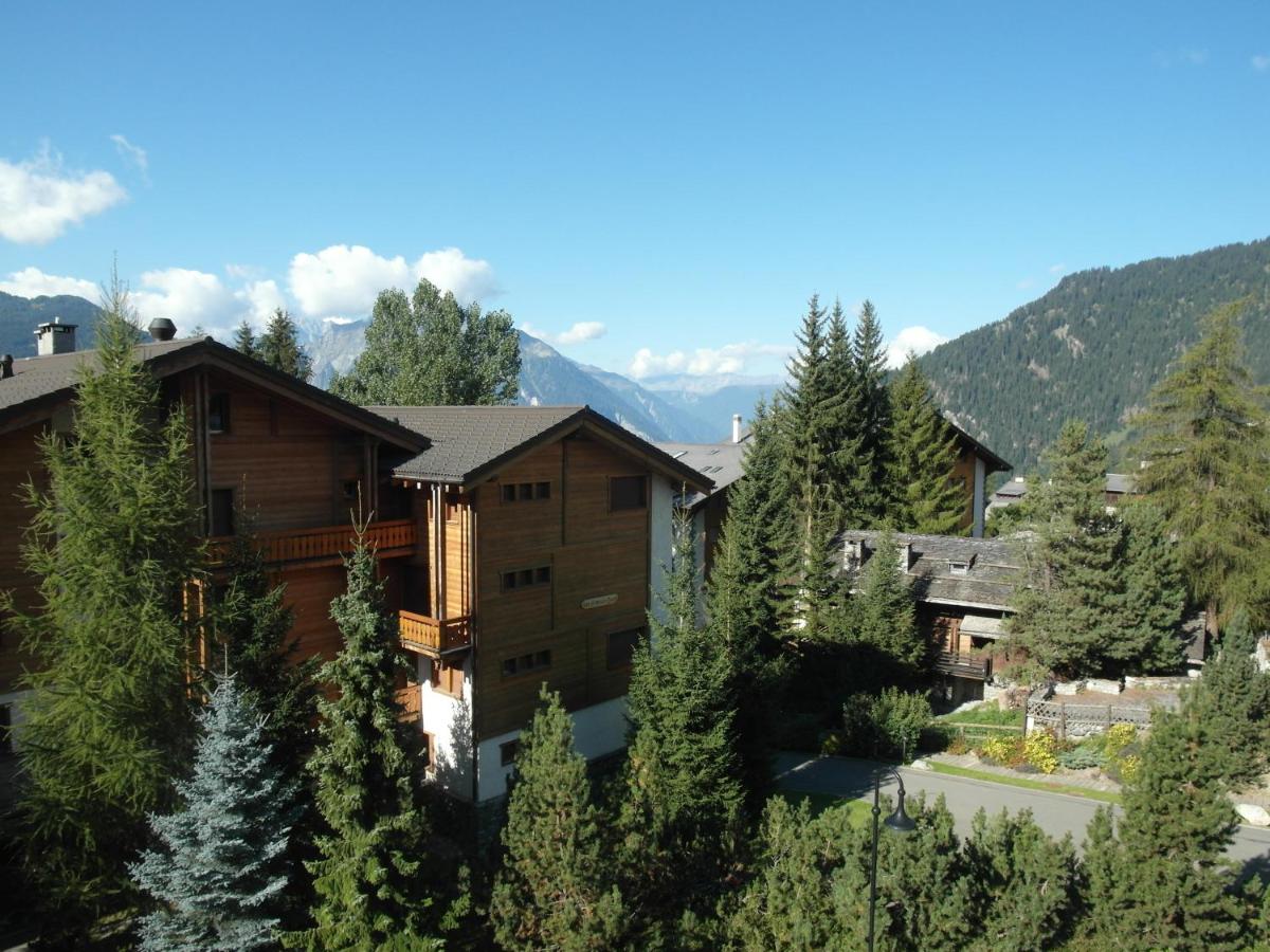 Apartment Cimeblanche 7 - B&B Verbier