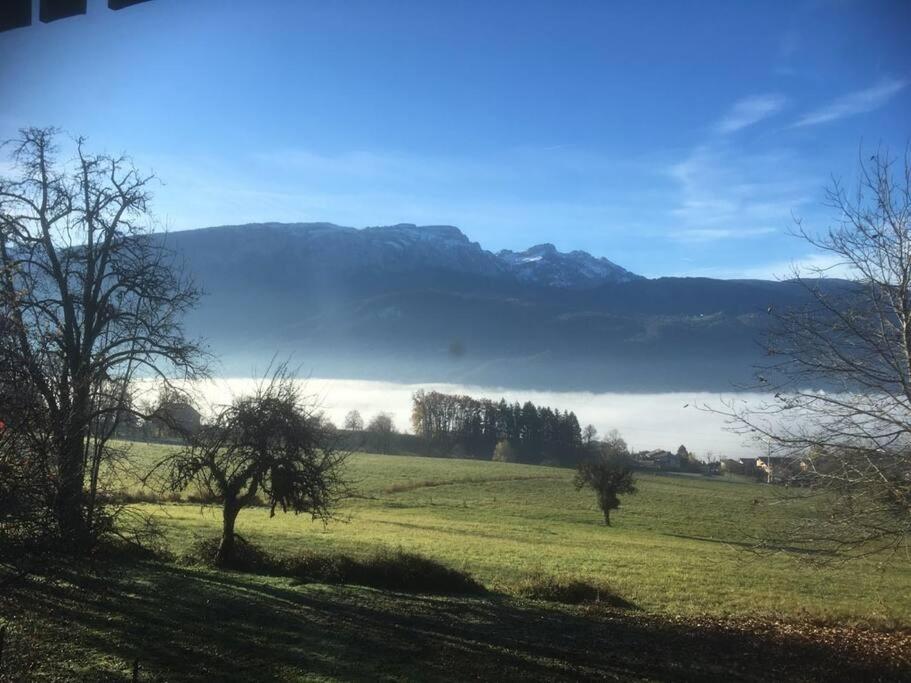 Joli T3 à la montagne - Ferienwohnung