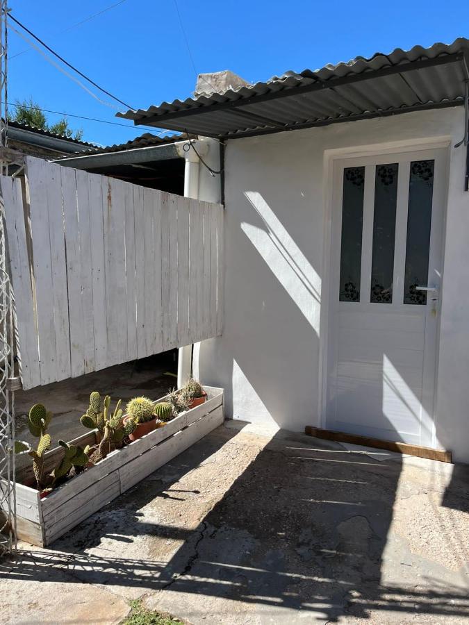 Apartamento de 1 dormitorio