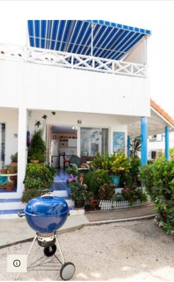 Marazul D1 - B&B