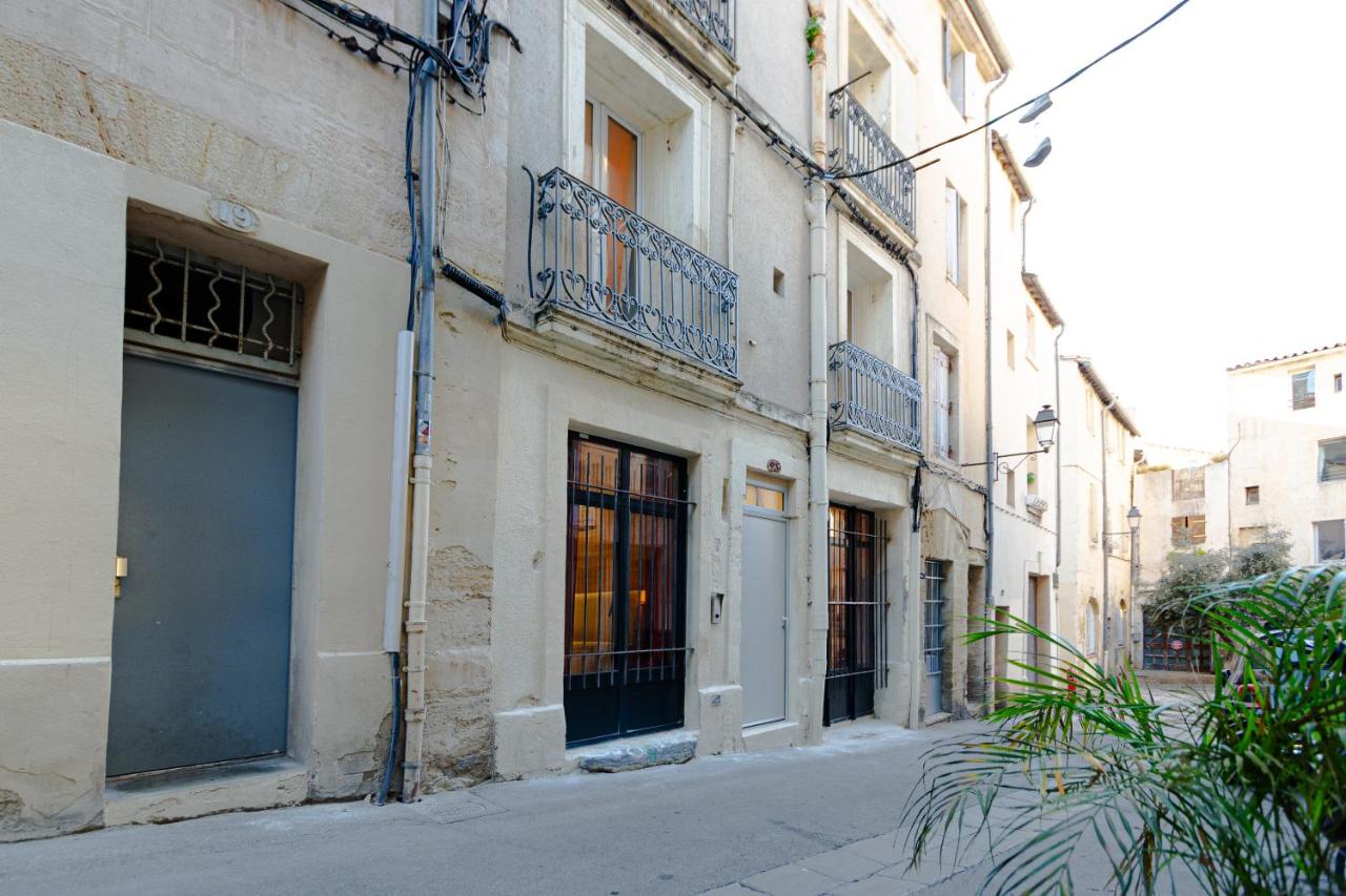 Charmant Studio Neuf N•2 - Centre ville - B&B