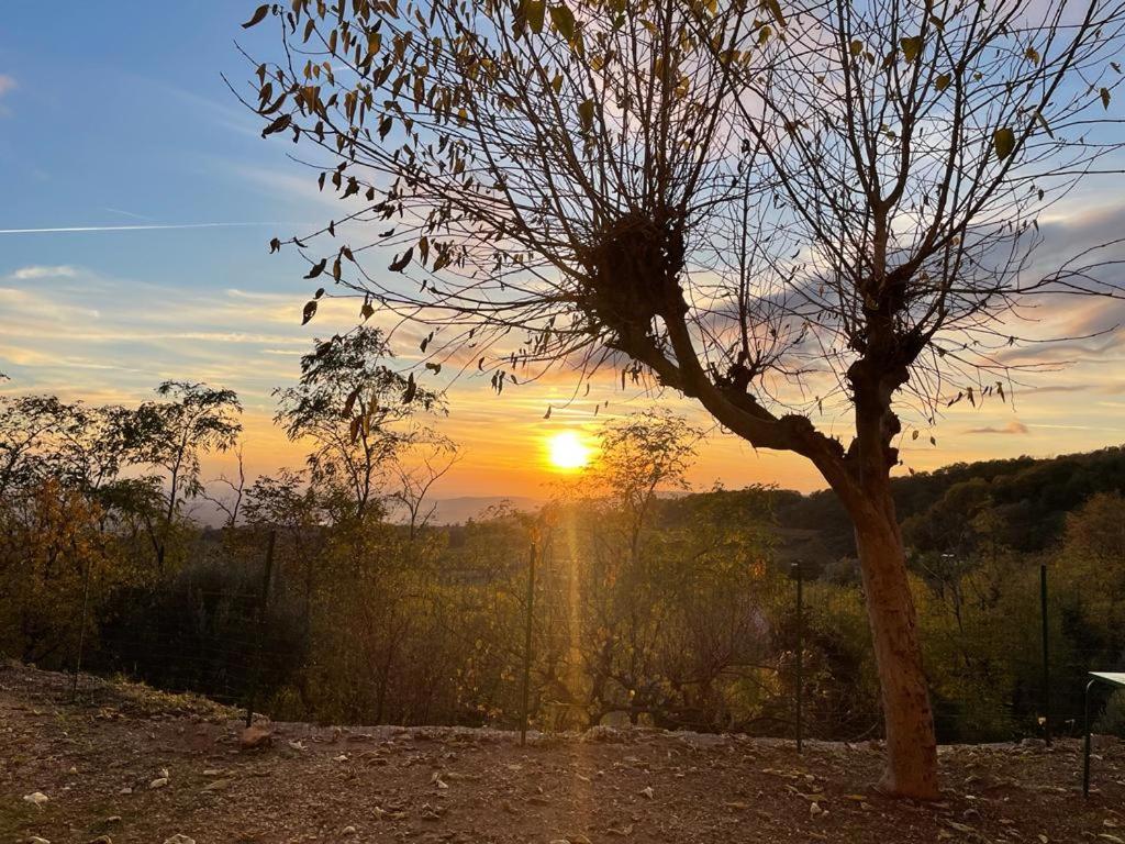 Al Colle Rooms - B&B Montebello Vicentino