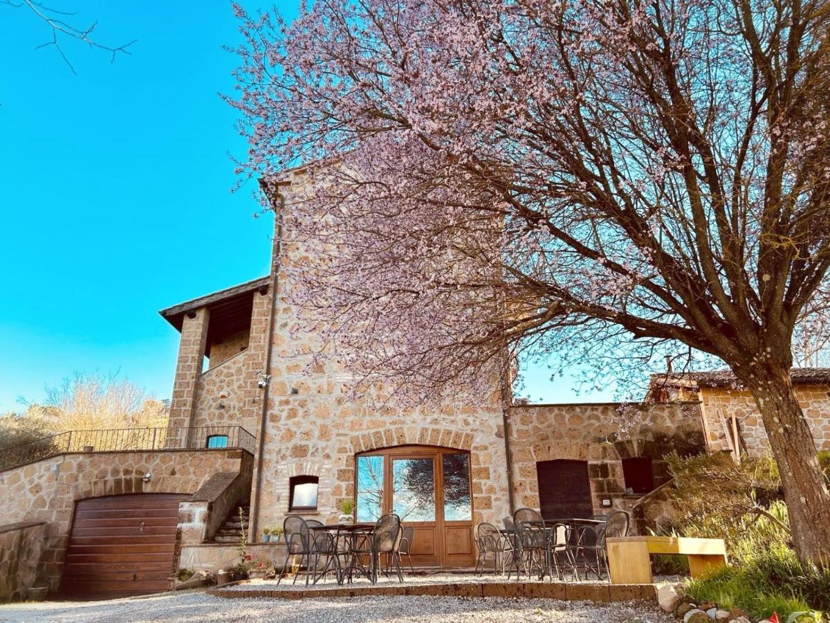 B&B Orvieto - CasalPiano - Bed and Breakfast Orvieto