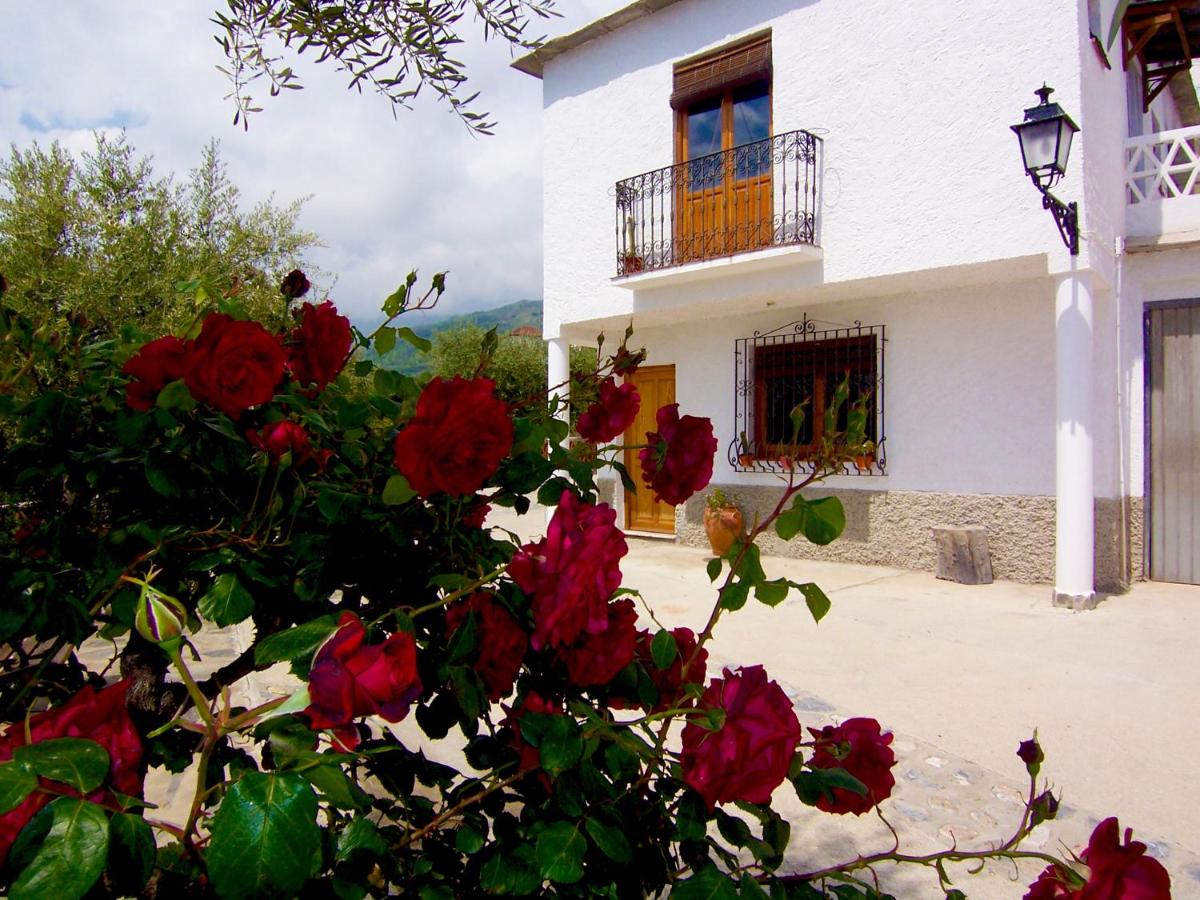 Holiday Home (4 Adults)
