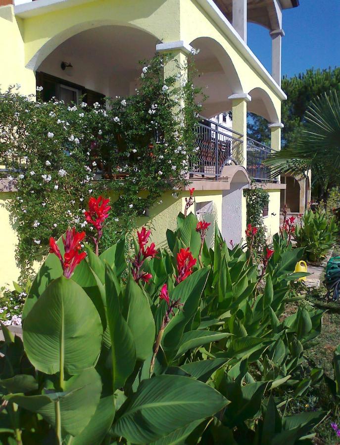 Apartments and room Marković - B&B