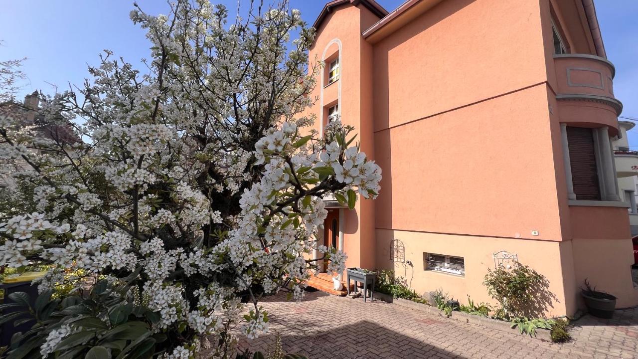 B&B Strasbourg - T3 + VÉRANDA A STRASBOURG - Bed and Breakfast Strasbourg