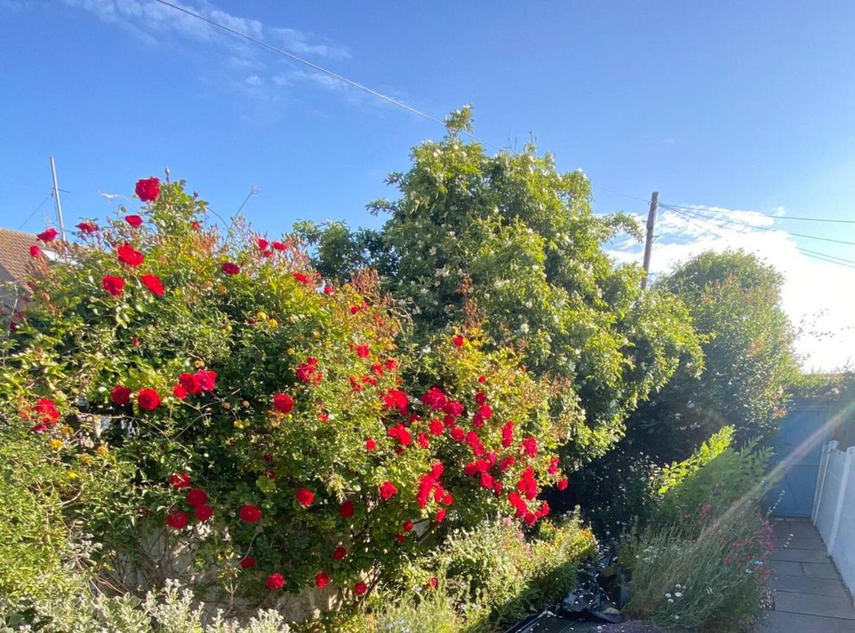 Seal Cottage - Chambres d’hôtes Whitstable