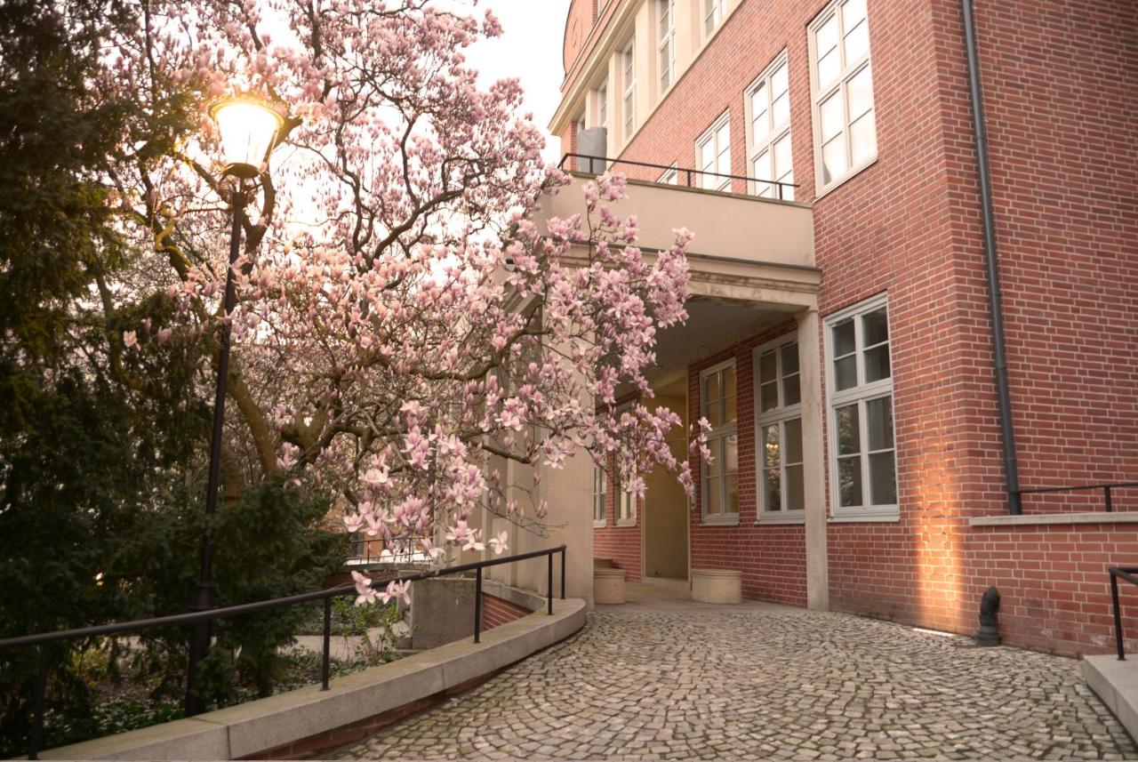 Rooms in Historic Heart of Wroclaw - B&B