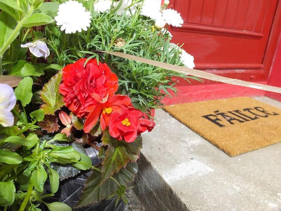 The Cosy Farm Cottage, Donegal - Bed and Breakfast