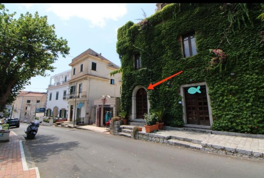 Rita's Paradise - B&B Palinuro
