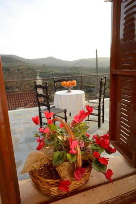 A small paradise in Mani with local hospitality - B&B Orovas