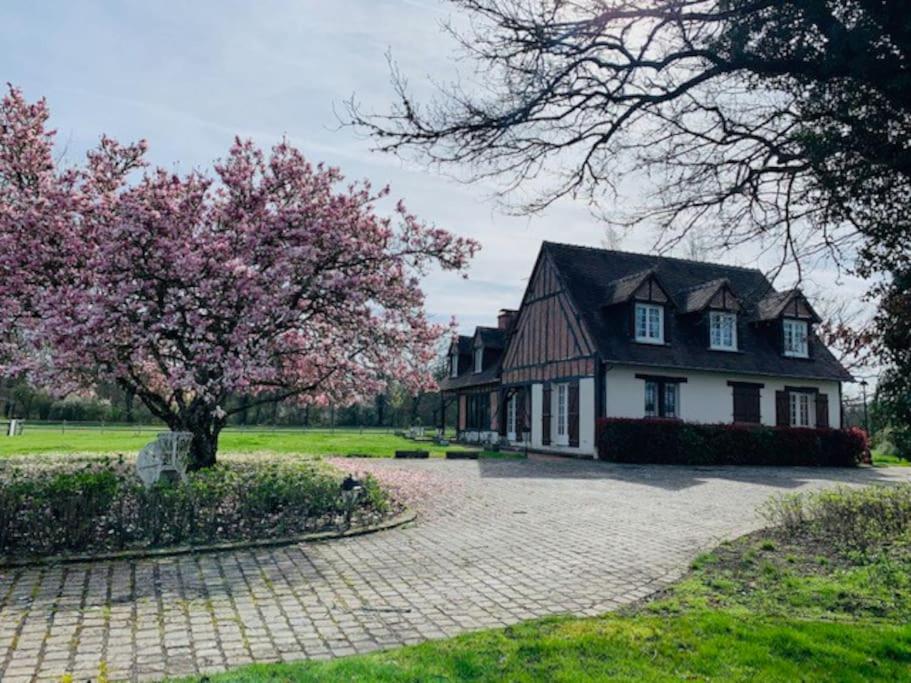 Propriété 12 personnes en Sologne - Bed and Breakfast La Ferté-Imbault