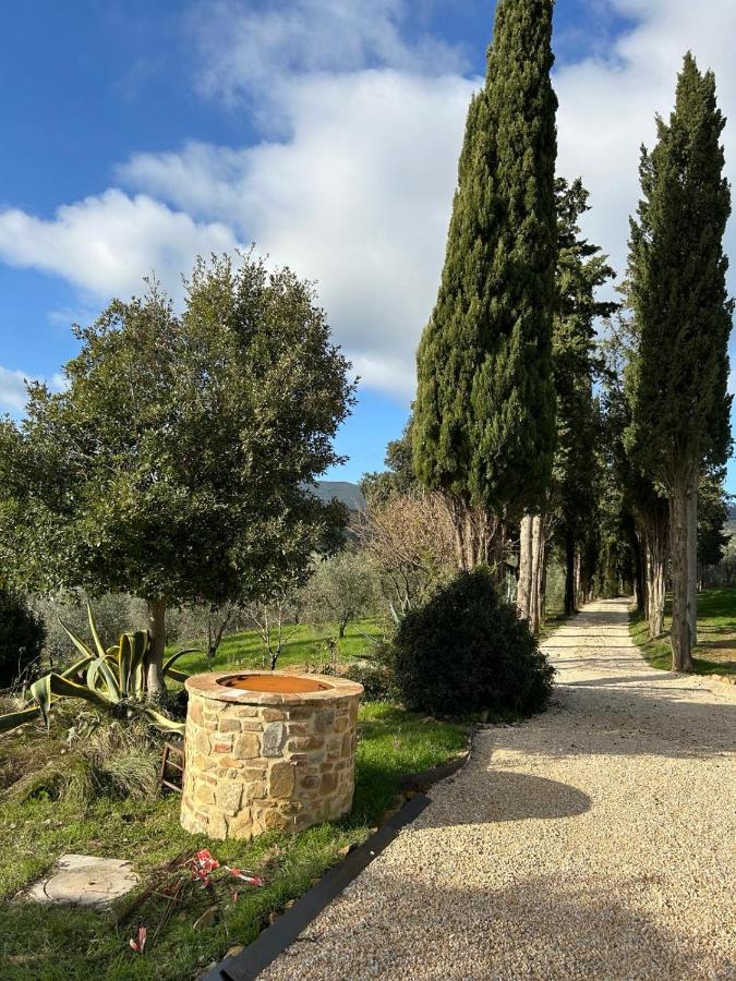 Domus Eleiva Relais - B&B Suvereto