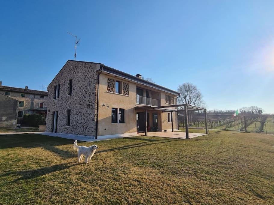 Appartamentino in az agricola Le vigne del Moretto - Ferienwohnung Castelnuovo del Garda