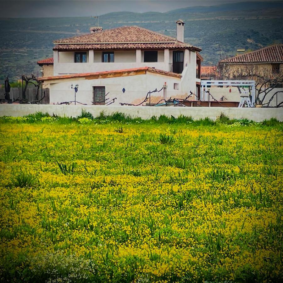 Los Diezmos - B&B Torremocha de Jarama