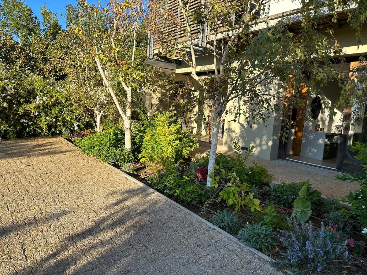Luxury Vineyard Apartment - Bed and Breakfast