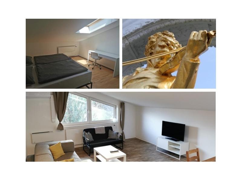 Appartement 1 Chambre