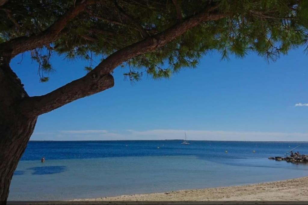 Location appartement estivale - Chambres d’hôtes Montagnac