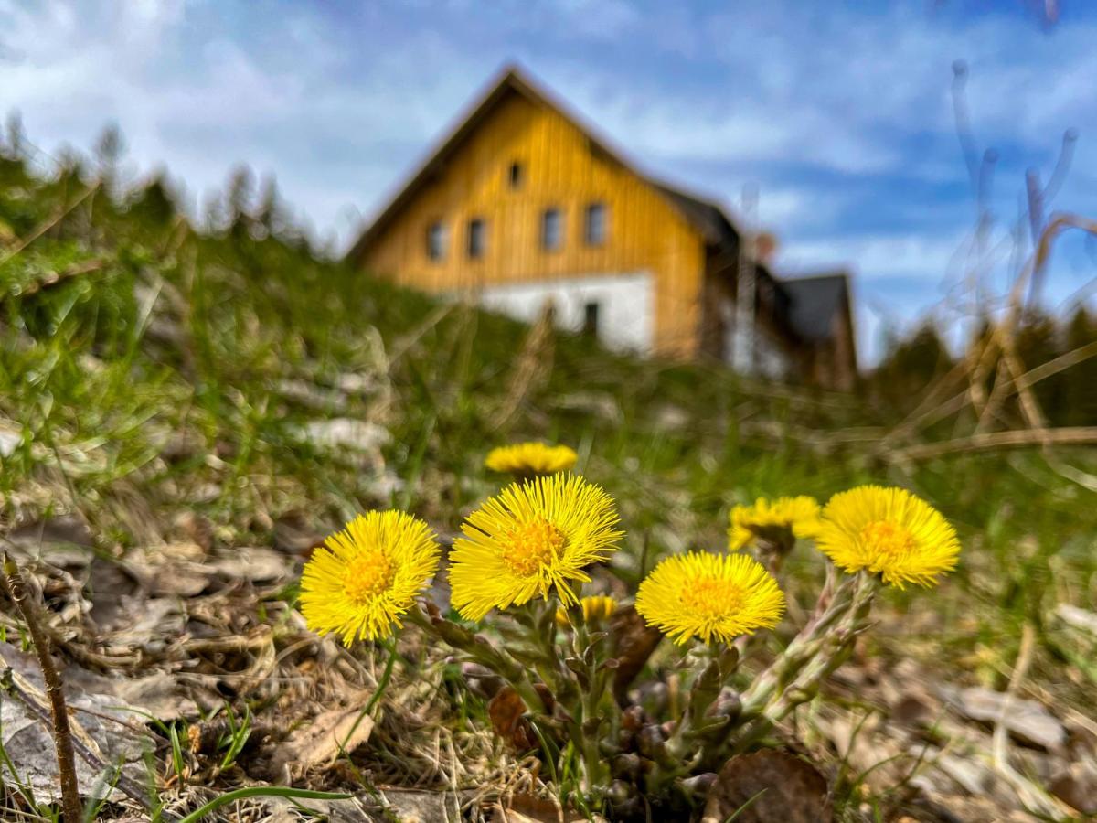 Pod Špičákem - B&B
