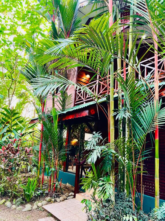 Private Villa hot Jacuzzi, Pool, Cocles beach Puerto Viejo - B&B