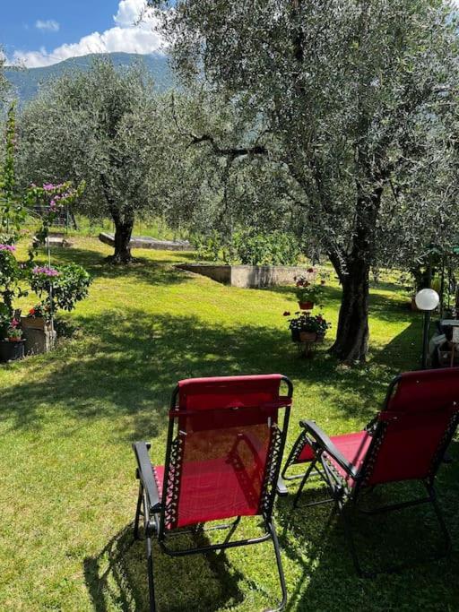 Casa Asia - Val di Sogno - B&B