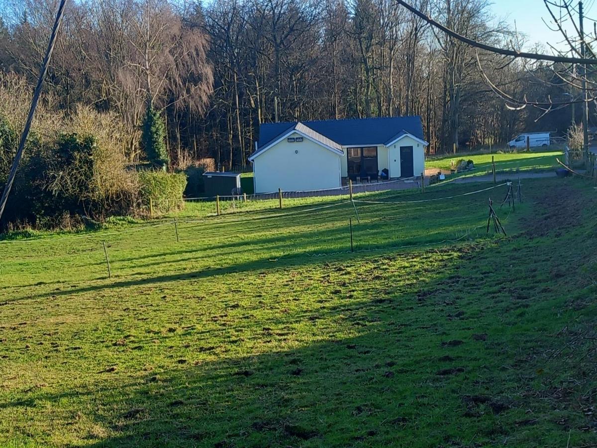 The Bungalow, Forest of Dean - Ferienwohnung Coleford