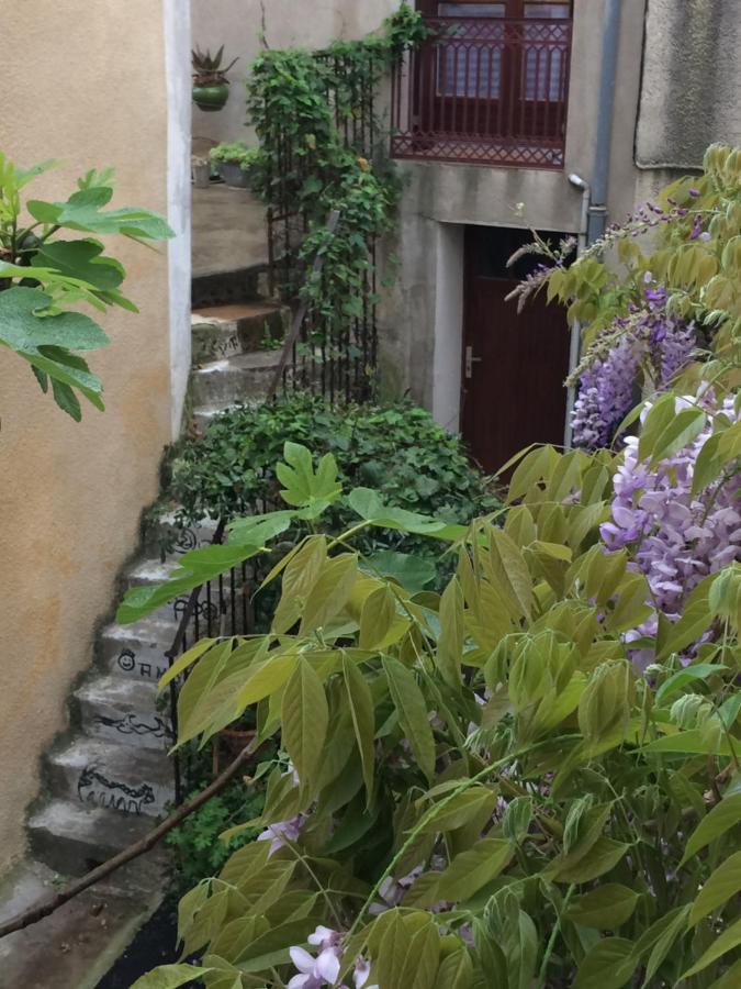 La petite Glycine - Ferienwohnung