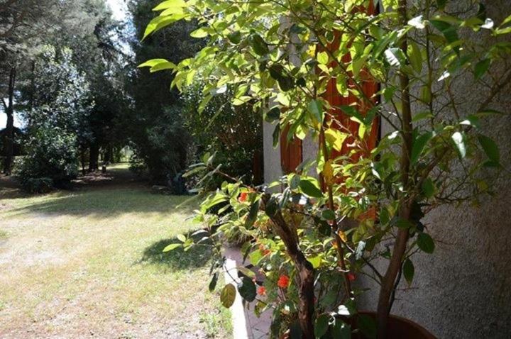 Apartamento familiar de 1 dormitorio