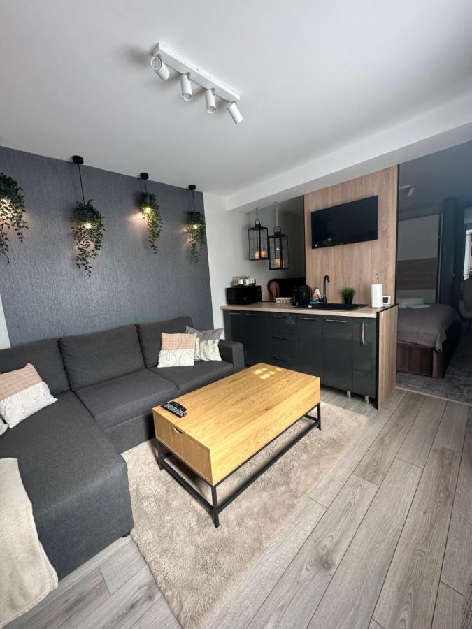 B&B Iasi - Luxury Studio - Bed and Breakfast Iasi