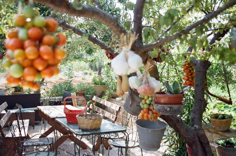 Nepole Home Holiday - B&B Torre Vado