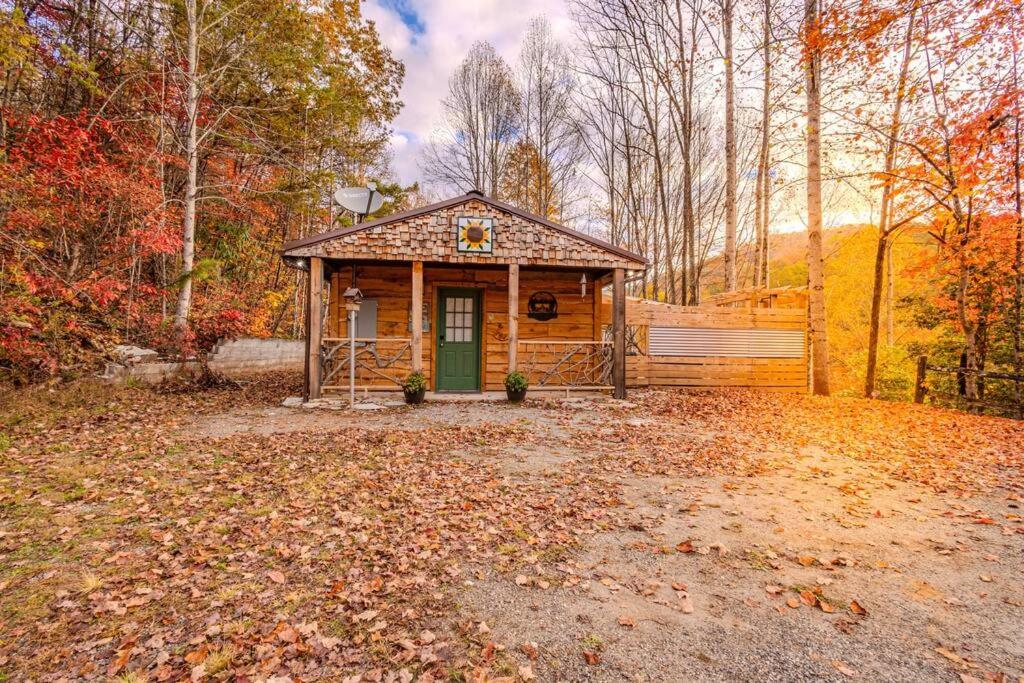 Poppa Bear Cabin at Gr Smoky Mtn Park! 3mi to town - Ferienwohnung