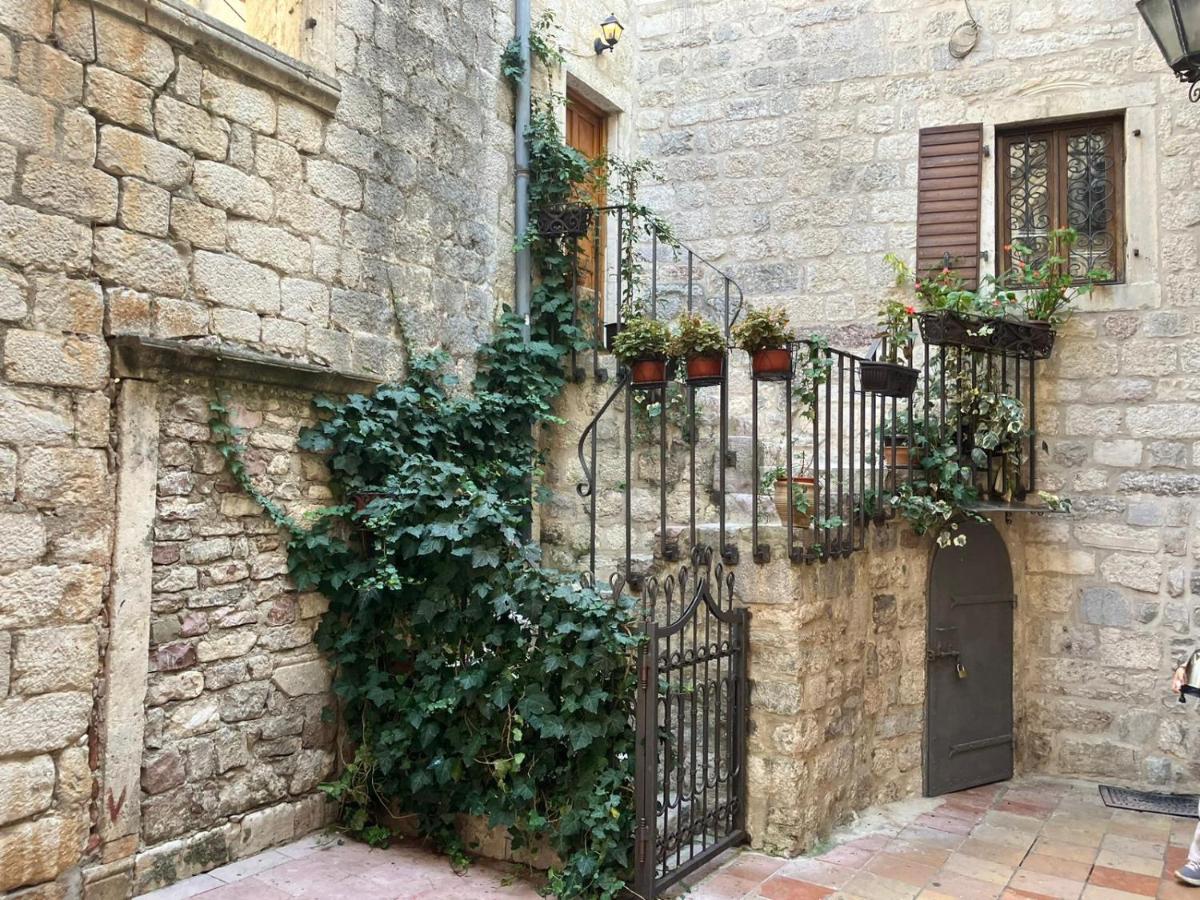 Apartments Kotor Old Town - B&B