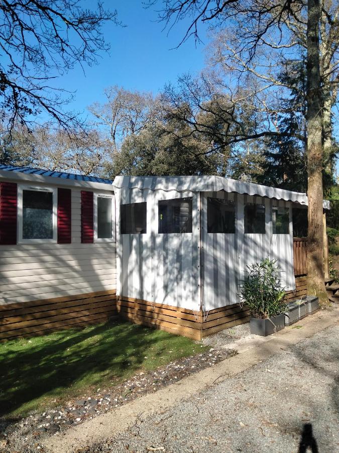 Mobile Home