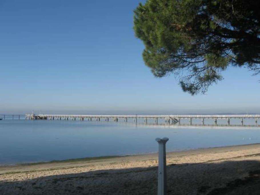 Pin Pon d'Or, petite maison proche de la plage - Ferienwohnung Andernos-les-Bains