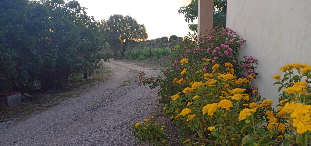 Agriturismo Muristene - Chambres d'hôtes Dorgali