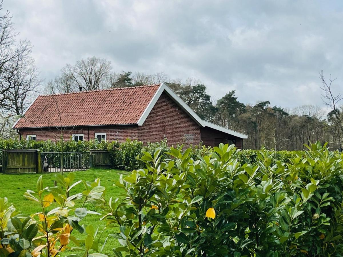 B&B Aalten - B&B Hoeve Fraai Achterhoek - Bed and Breakfast Aalten