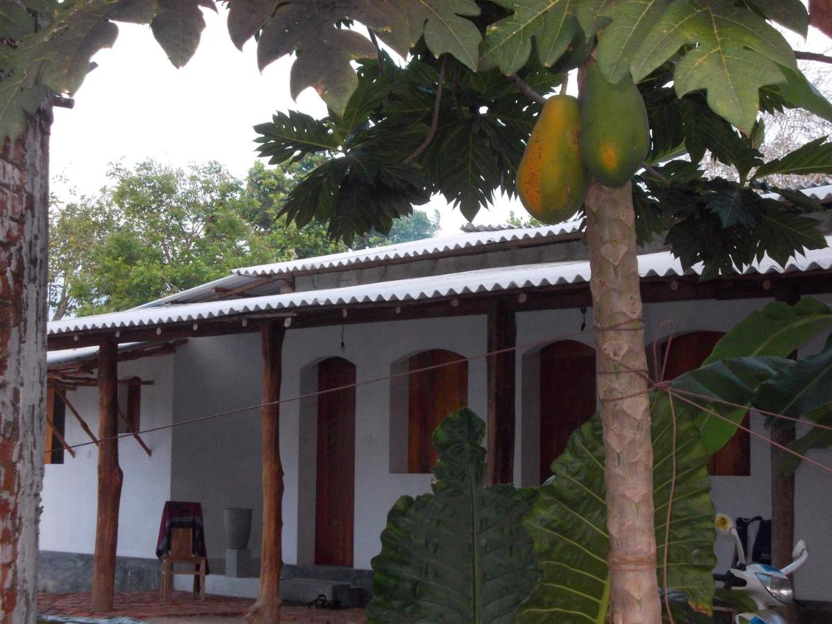 Dolce Vita Surf Rest Point - B&B