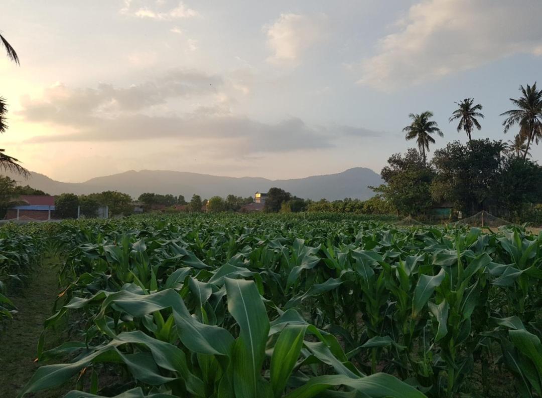 B&B Kampot - Baksaei Bed & Breakfast - Bed and Breakfast Kampot