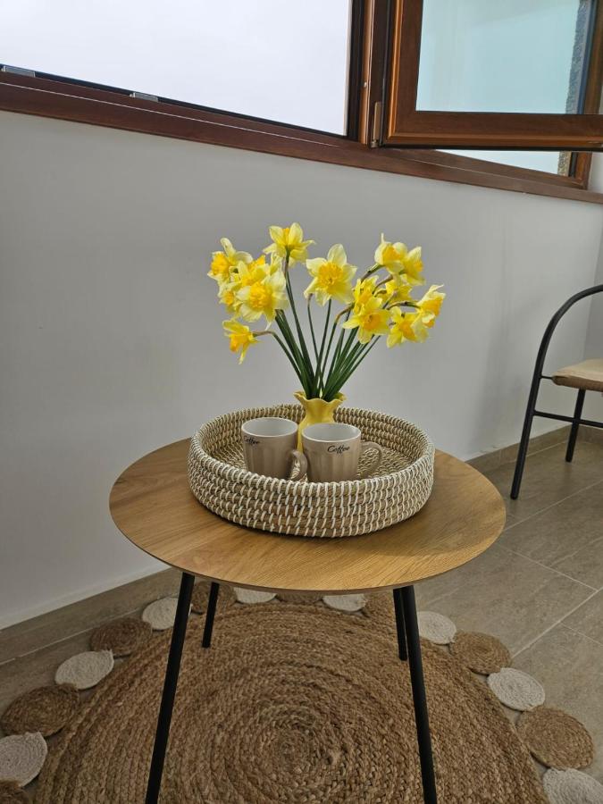 Tei Residence - B&B Piatra Neamţ