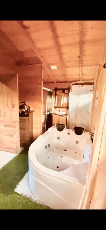 CABAÑAS VILLA INES DE SUESCA - Ferienwohnung