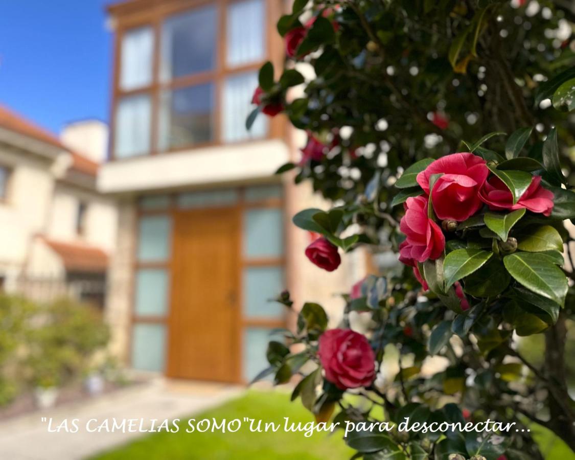 B&B Somo - "LAS CAMELIAS SOMO" un lugar para desconectar!! Vistas al MAR!! - Bed and Breakfast Somo