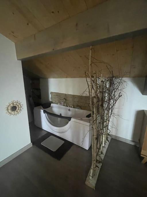 Loft ravissant avec spa nordique - B&B