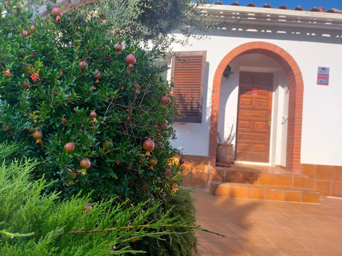Casita con jardin, parking, bicis, padel surf - B&B