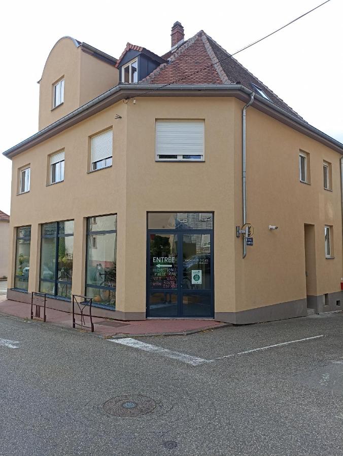 Appartement met 1 Slaapkamer